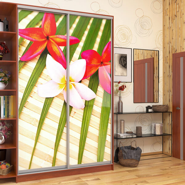 Шкафы-купе серия "Цветы"